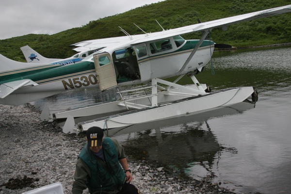 Bear Viewing Kodiak Island Alaska
